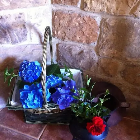 Rural La Figar 3* Argüero