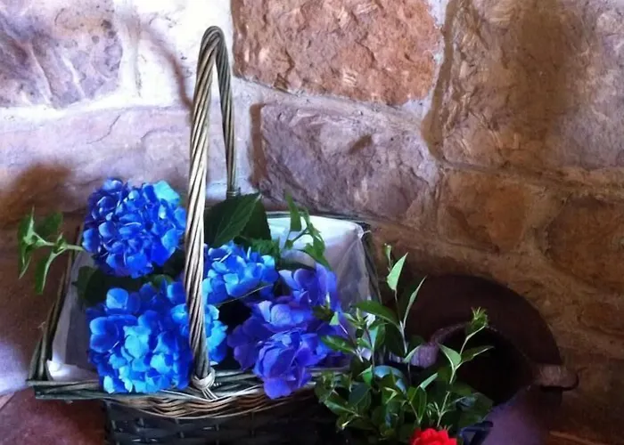 Rural La Figar 3* Argüero