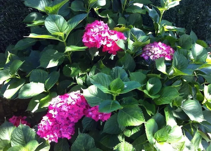 Hotel Rural La Figar 3*